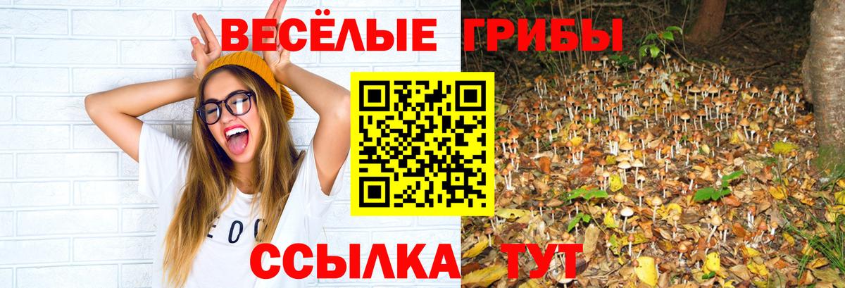 Зерноград  Псилоцибиновые грибы ЛСД  Вход с VPN 
